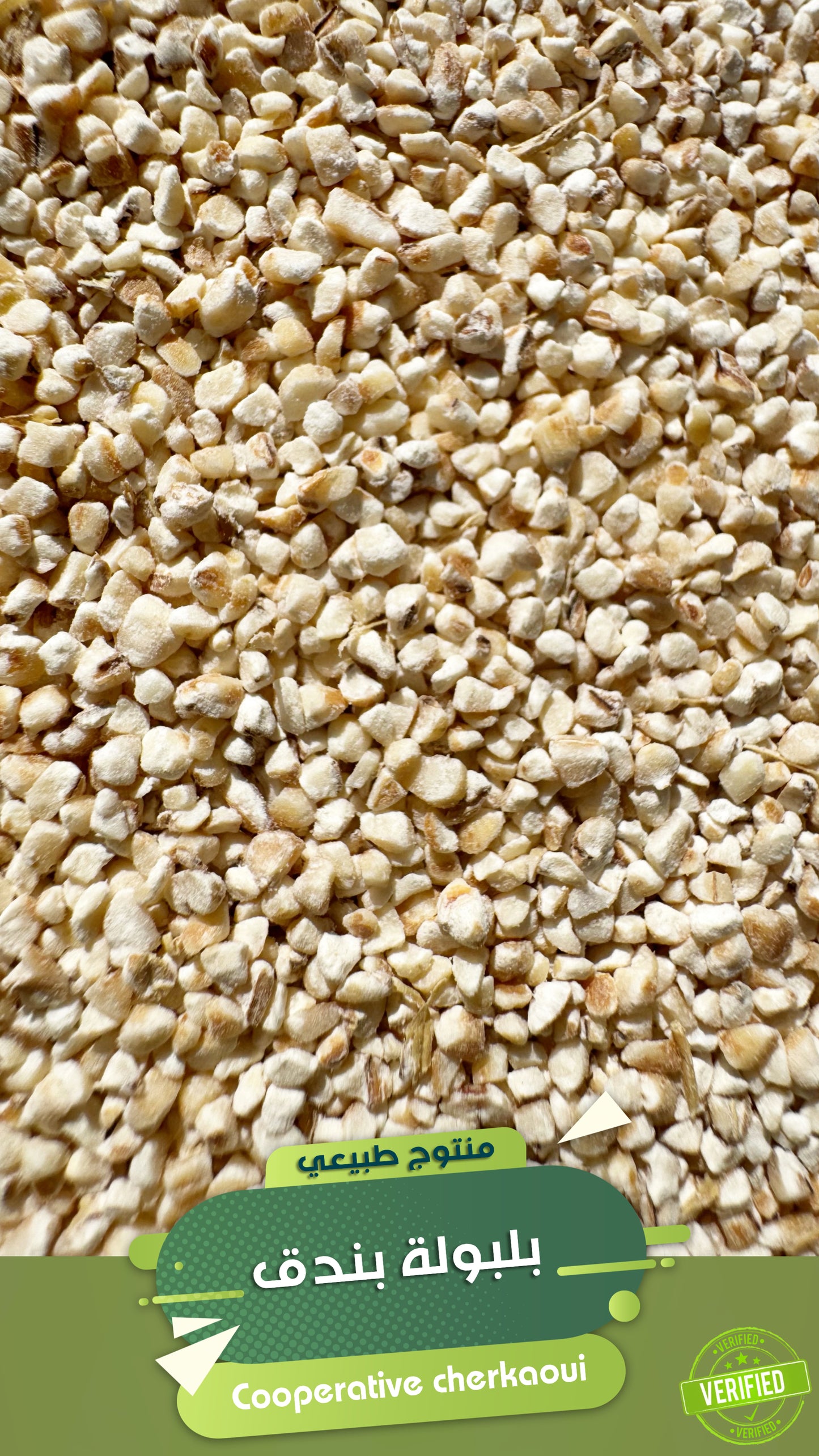 بلبولة البندق هي بلبولة الشعير البلدي المحمّصة. تُعتبر من المنتجات الصحية والمغذية، وتُستخدم عادةً في:
• الفطور الساخن أو البارد
• إضافتها إلى اللبن أو الحليب
• تحضير حساء مغذّي
• وصفات مغربية تقليدية خاصة بالأطفال أو كبار السن