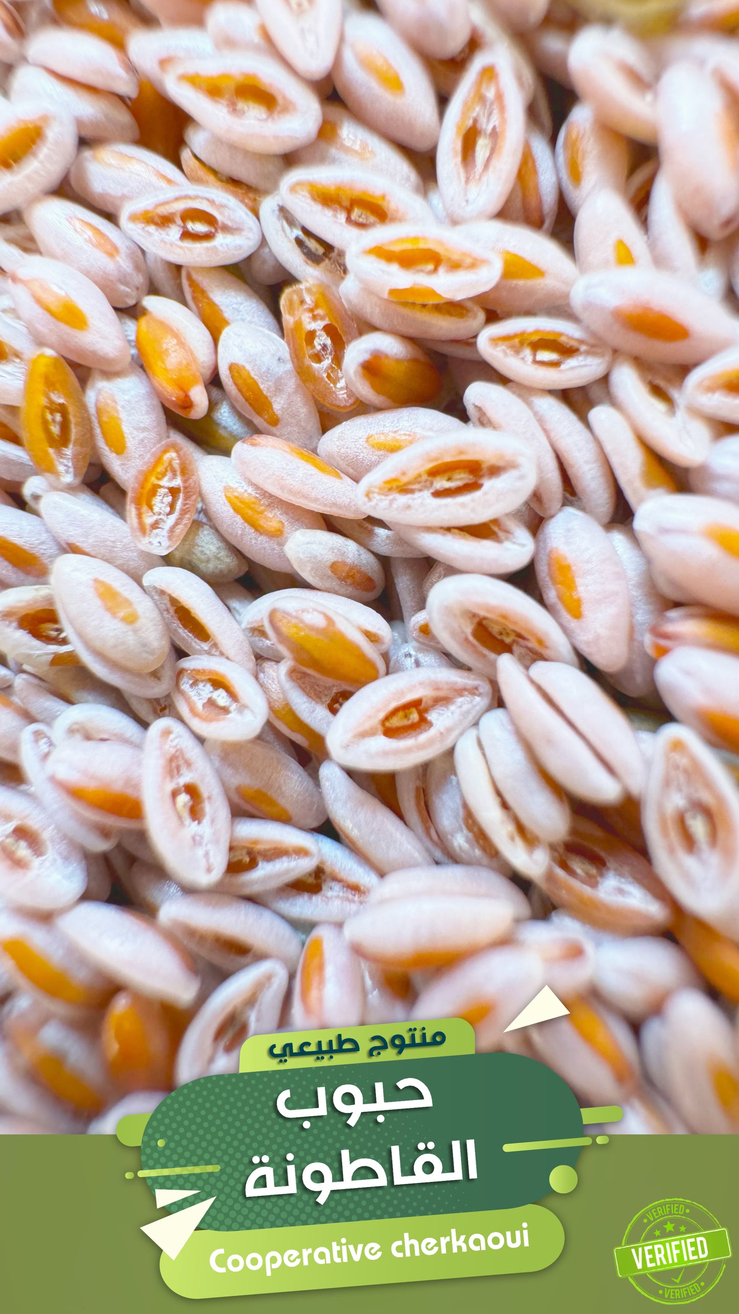 حبوب القاطونة، المعروفة علميًا باسم Psyllium Husk أو Plantago Ovata Seeds، هي ألياف نباتية طبيعية 100%،
تتميّز بقدرتها الفائقة على امتصاص الماء وتكوين مادة هلامية مفيدة، مما يجعلها من بين أفضل مصادر الألياف الذوّابة في الماء في الطب الطبيعي والتغذية