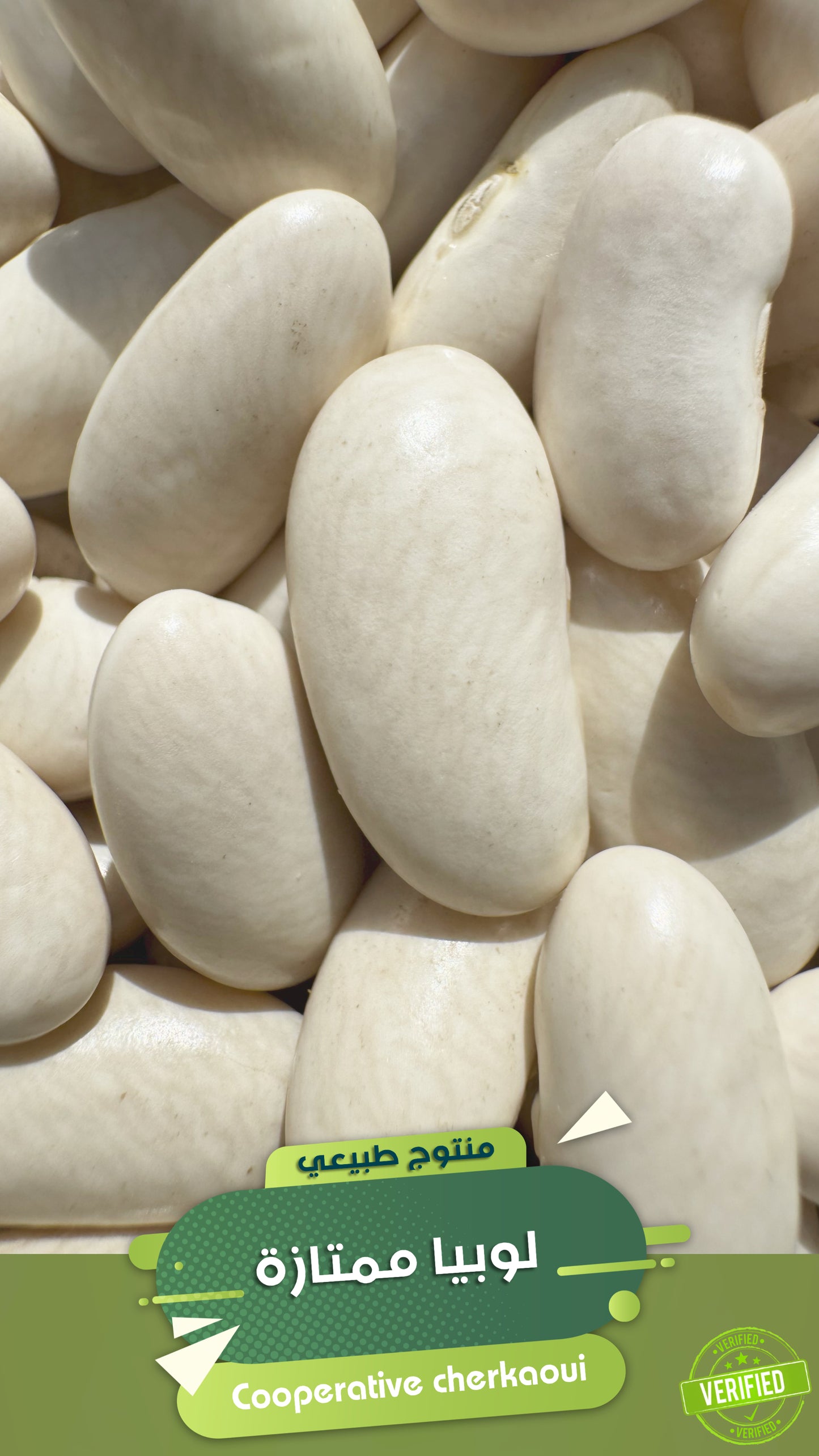 فاصوليا بيضاء مختارة – تغذية متكاملة بنكهات مغربية أصيلة
قدّم لأطباقك لمسة من الدفء والتغذية مع الفاصوليا البيضاء، حبات بيضاء ناعمة، منتقاة بعناية من أفضل المحاصيل، ومثالية للأطباق التقليدية والعصرية