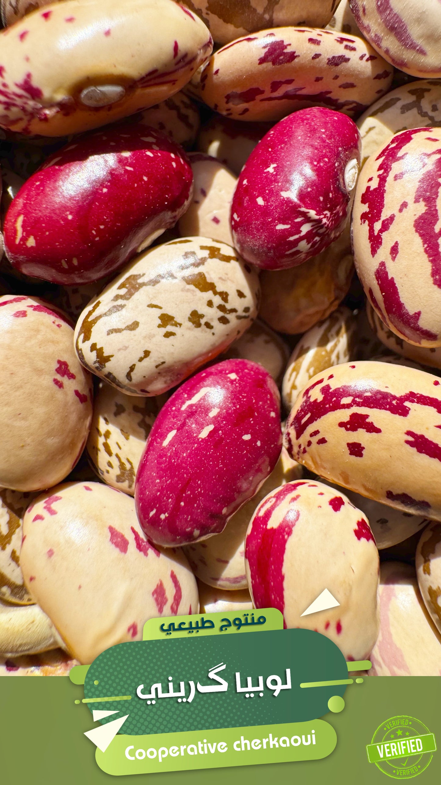 لوبيا گريني طبيعية – حبة مغربية بطابع أصيل
استمتع بالنكهة الأصيلة والقيمة الغذائية العالية مع لوبيا گريني . حبوب مغربية مختارة بعناية، معروفة بحجمها المتوازن وقشرتها الناعمة التي تذوب عند الطهي