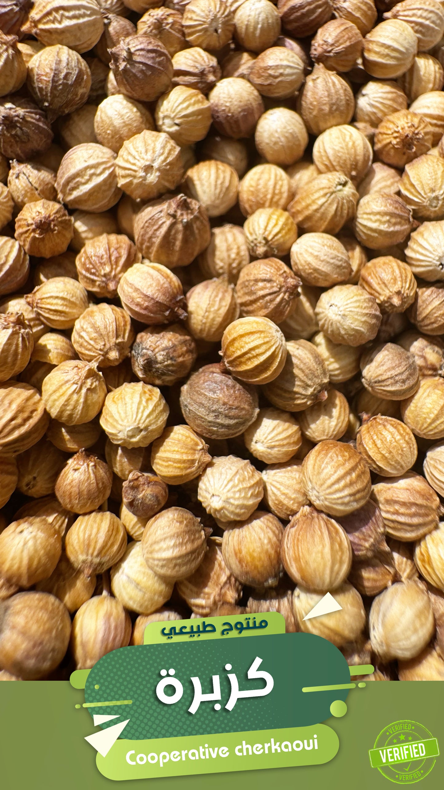 حبوب القزبر تُعد من التوابل الأساسية في المطبخ المغربي والعربي، بفضل نكهتها الفريدة التي تجمع بين الطعم الترابي ولمسة حمضية منعشة. تُستخدم في إعداد الطواجن، الحساء، الشوربات، تتبيلات اللحوم، والصلصات، كما يمكن تحميصها وطحنها لإطلاق نكهتها العطرية القوية