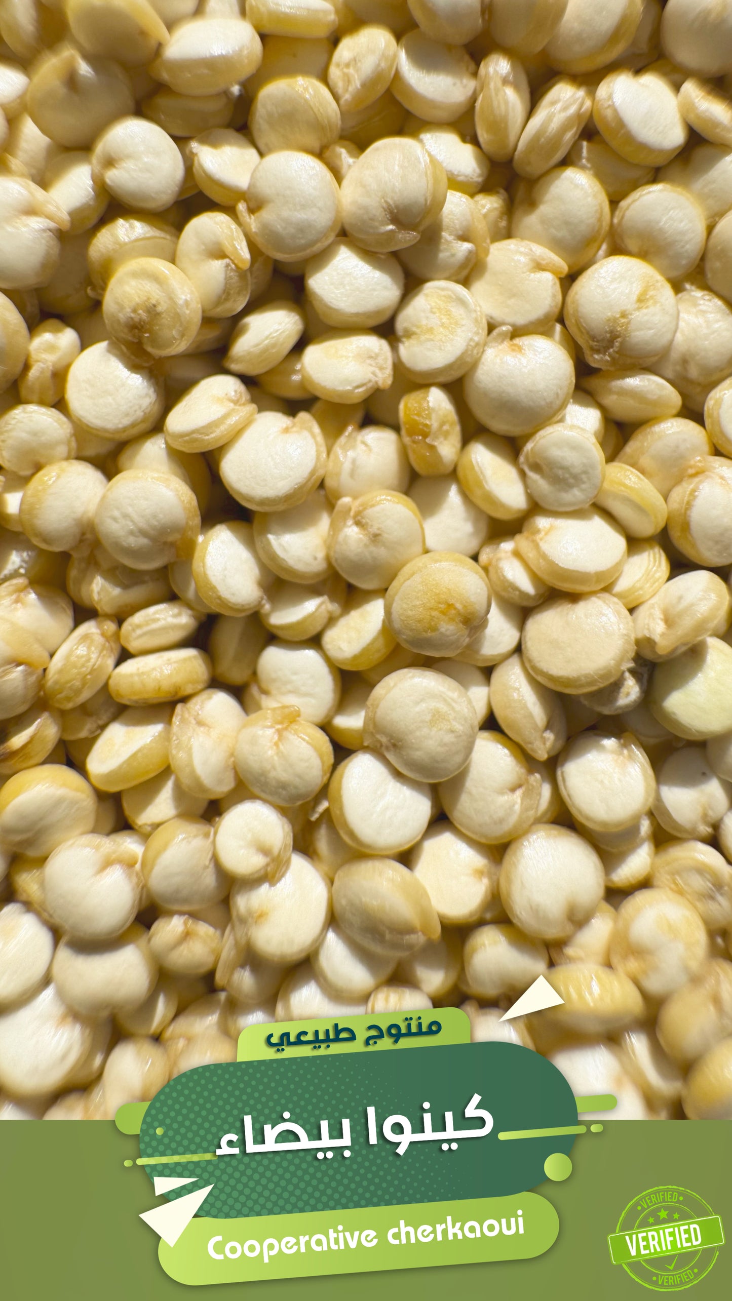 الكينوا البيضاء – خفة المذاق وقوة التغذية
استمتع بغذاء متوازن مع الكينوا البيضاء، الأخف في الطعم والأسرع في الطهي بين جميع أنواع الكينوا.
تُعد مصدرًا طبيعيًا للبروتين النباتي، وتناسب جميع الأنظمة الغذائية، من النباتية إلى الرياضية