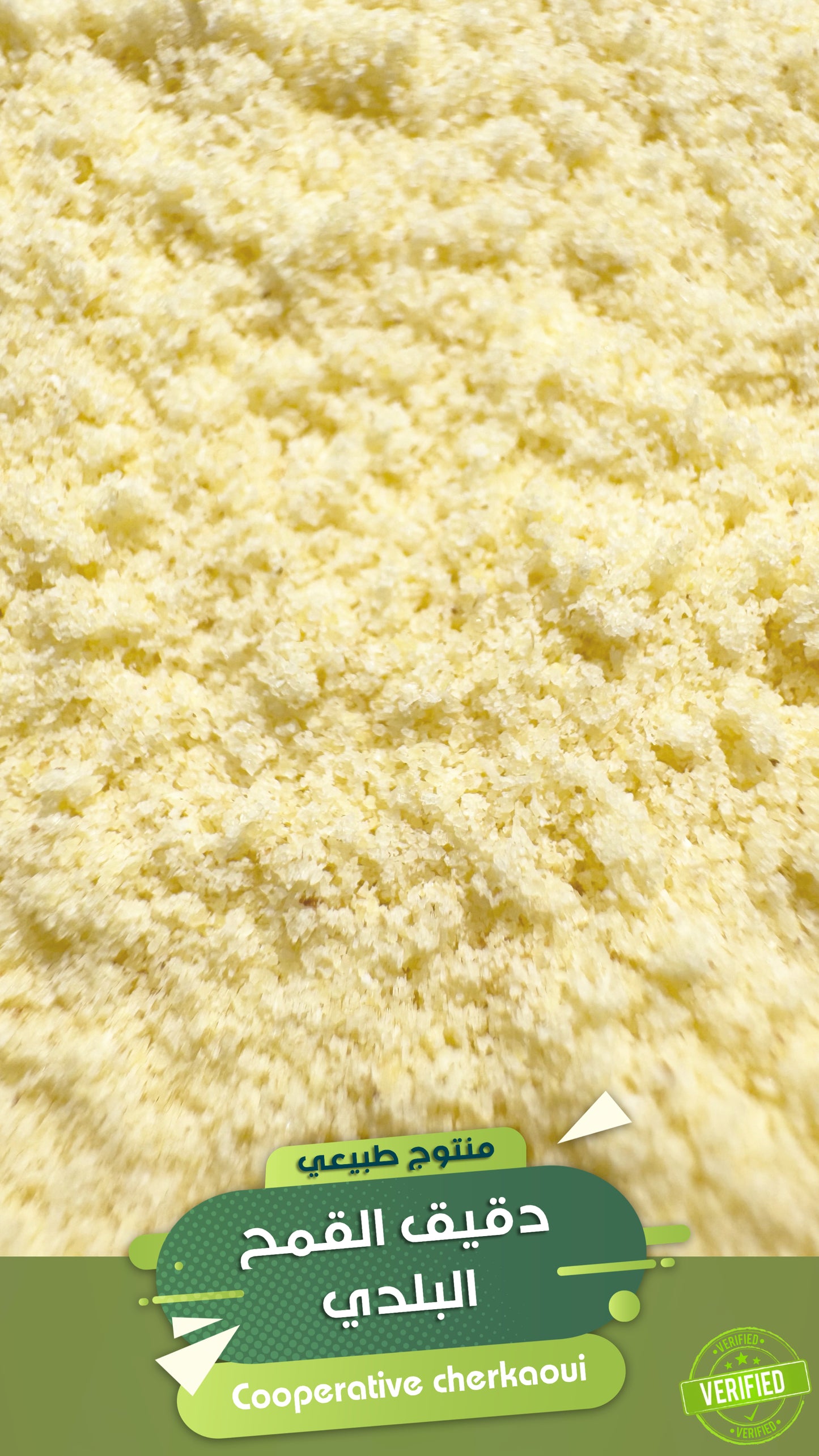 دقيق القمح البلدي مغربل بديل الفينو