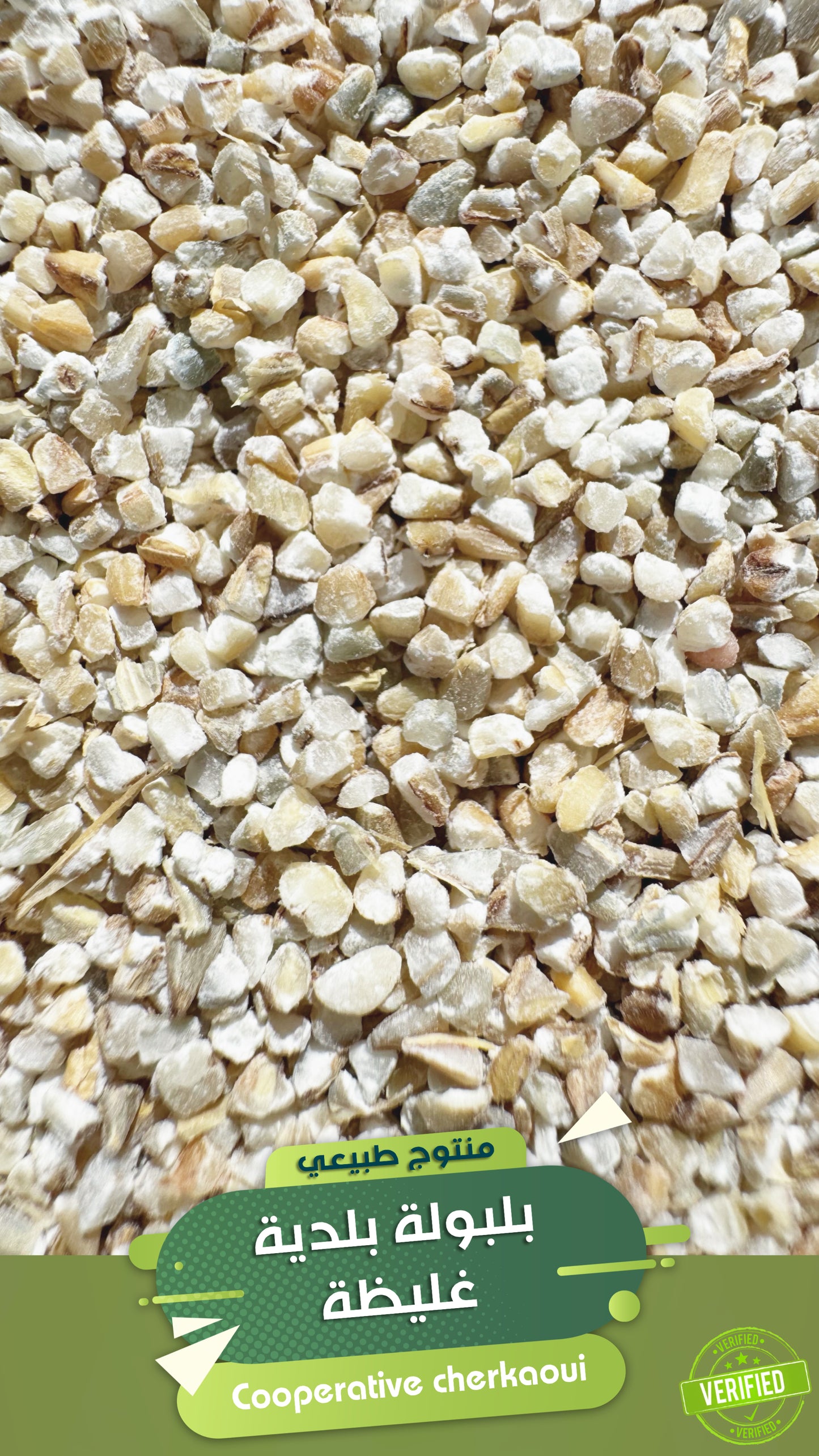 بلبولة الشعير البلدي غليظة هي حبوب الشعير الكاملة المجروشة أو المكسّرة بطريقة تقليدية، وتُعتبر من الأغذية الصحية والمغذية في المطبخ المغربي، حيث تُطهى غالباً كحساء أو كسكس أو عصيدة