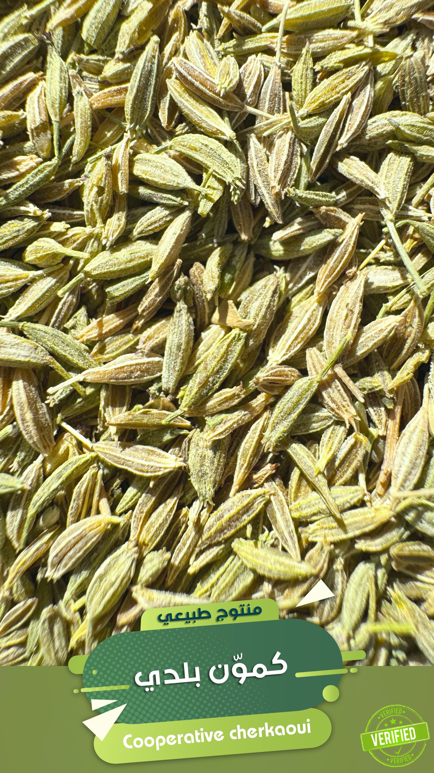 الكمون البلدي هو نوع من الكمون المزروع محليًا في المغرب، ويُعتبر من التوابل الأساسية في المطبخ المغربي والعربي عمومًا