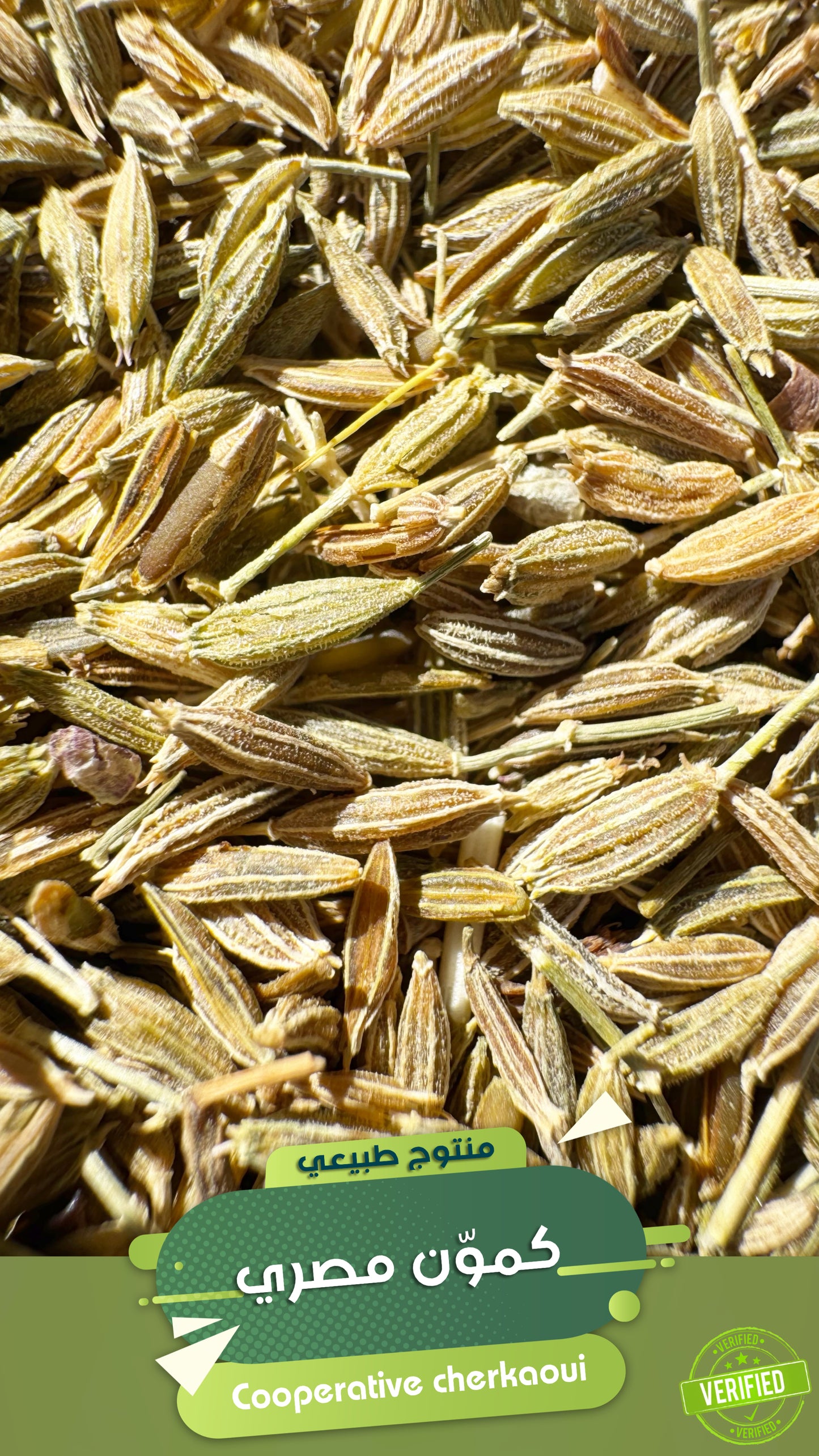 الكمون المصري هو من أشهر أنواع الكمون في العالم، ويُستخدم بكثرة في الطبخ العربي والعالمي. يُزرع في مناطق مختلفة من مصر مثل الفيوم وبني سويف وأسيوط، ويُعرف بجودته