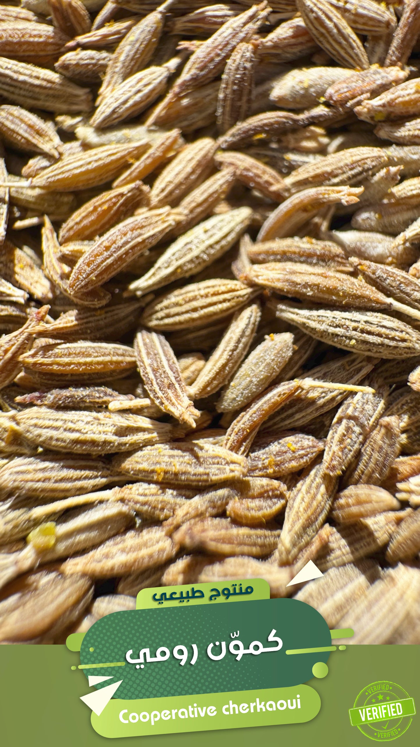 الكمون رومي الهندي هو من أكثر أنواع الكمون استخدامًا عالميًا، ويُزرع على نطاق واسع في الهند، خاصة في ولايات مثل راجستان وغوجارات. يُستخدم بكثرة في المطبخ الهندي وكذلك في الأسواق العالمية نظرًا لسعره المناسب وتوفره الكبير