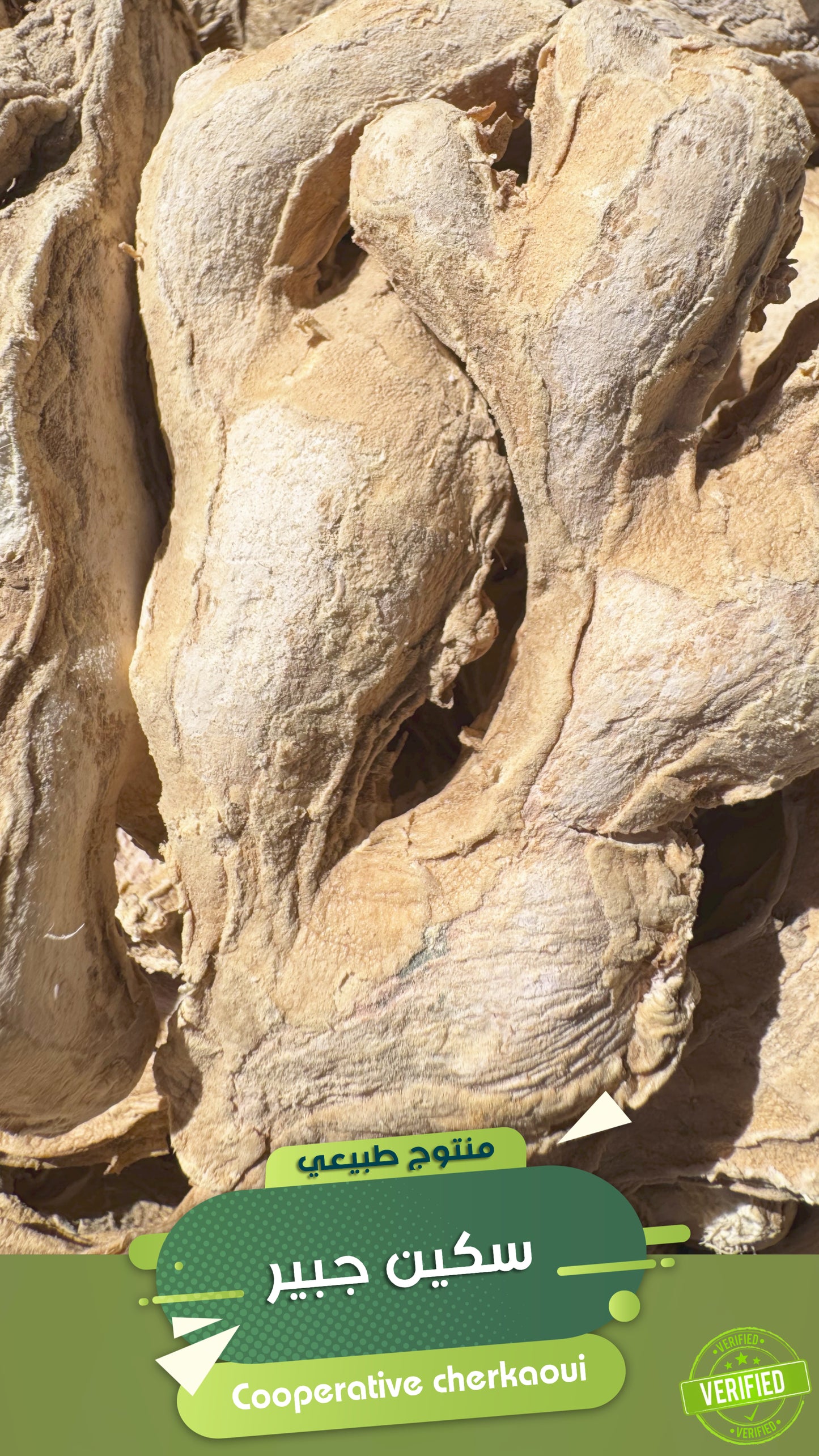 الزنجبيل هو من التوابل الجذرية الشهيرة في العالم، ويُستخدم في الطبخ والعلاج التقليدي على حد سواء. في المغرب، يُعرف باسم “زنجبيل” أو أحيانًا “سكينجبير” (وهو الاسم الفصيح)، ويُستعمل بشكل واسع في الطاجين، الشوربات، خلطات التوابل، والمشروبات الساخنة