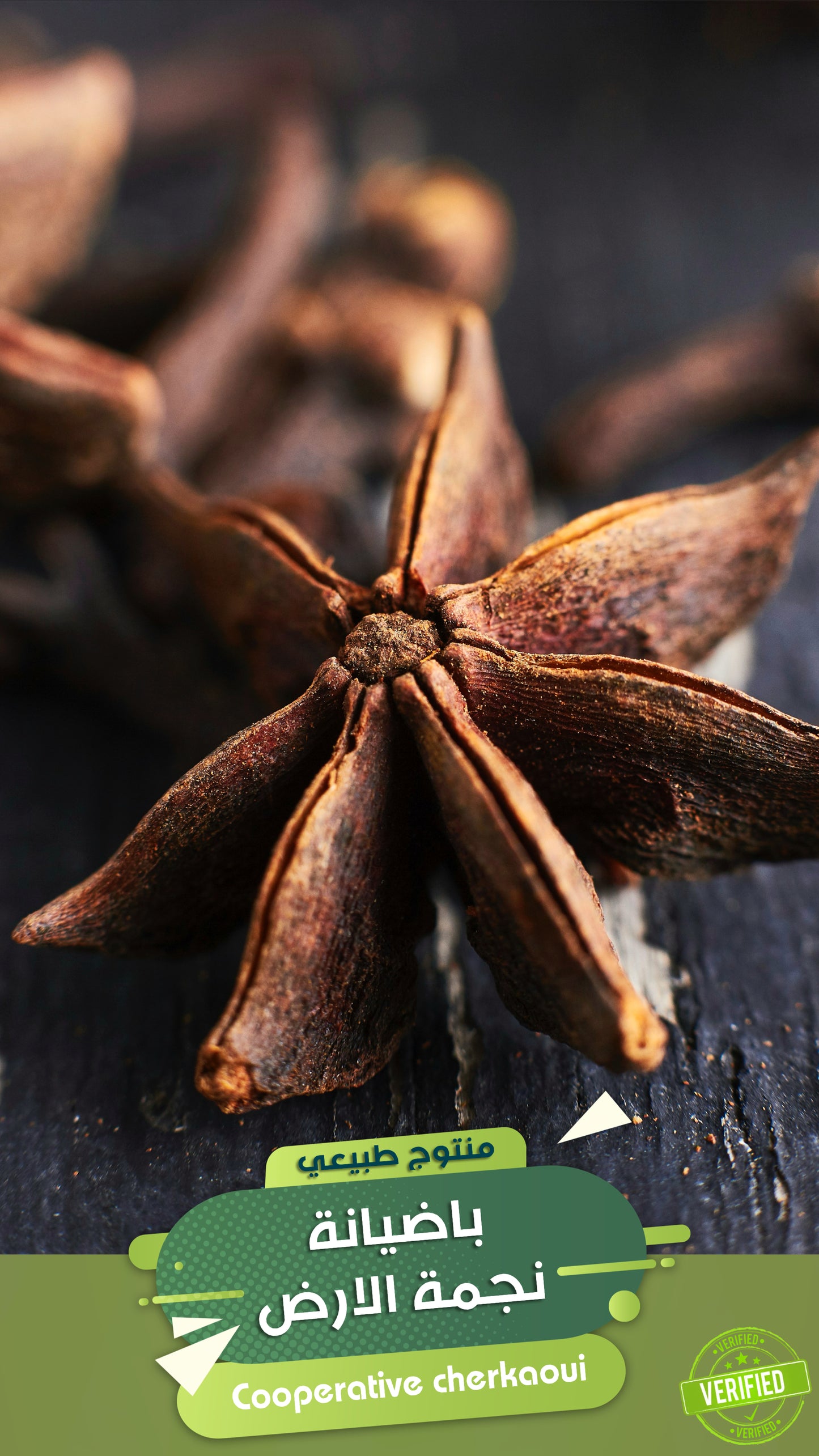 نجمة الارض بَاضيانة (وتُكتب أيضًا: باديان أو باديانة) هي التسمية المغربية لـ اليانسون، وهي من التوابل العطرية المعروفة بطعمها الحلو المشابه لطعم عرق السوس.