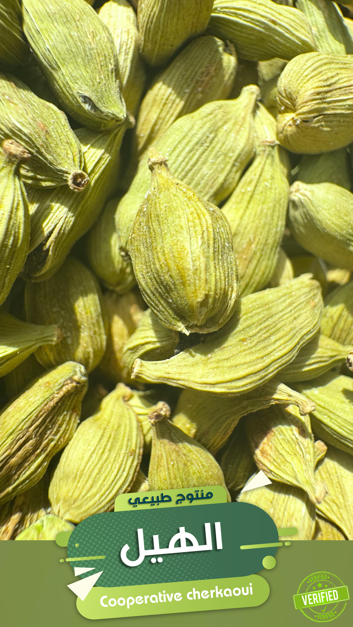 حبوب الهيل الكاملة أو قعقلة عبير فريد ونكهة لا تُضاهى
اكتشف سحر حبوب الهيل، أحد أثمن التوابل في العالم، والمعروف بعبيره الزكي ونكهته الغنية والدافئة. تُقطف حبوب الهيل الخضراء بعناية وتحفظ كاملة للحفاظ على زيوتها العطرية الطبيعية