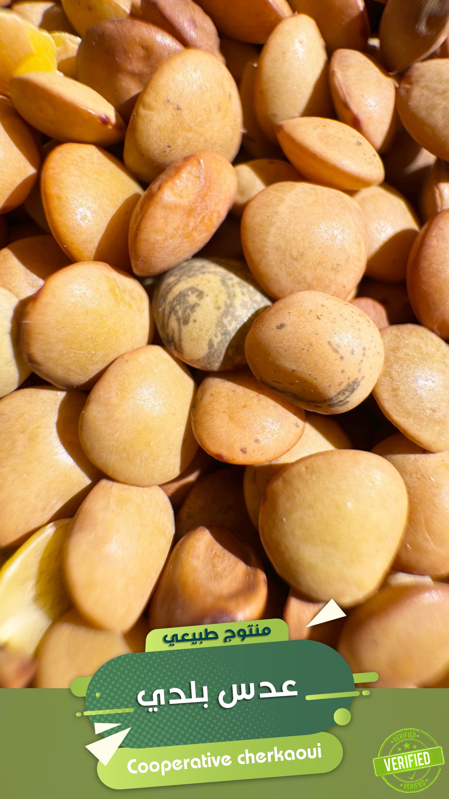 العدس البلدي عدس بلدي – نكهة أصيلة وجودة لا تضاهى
استمتع بطعم العدس البلدي كما عرفته الأجيال. منتج طبيعي 100%، مزروع محليًا بعناية، ومجفف بطريقة تحافظ على نكهته الغنية وقيمته الغذائية العالية. مثالي لتحضير أطباق مغربية تقليدية مثل العدس بزيت الزيتون،