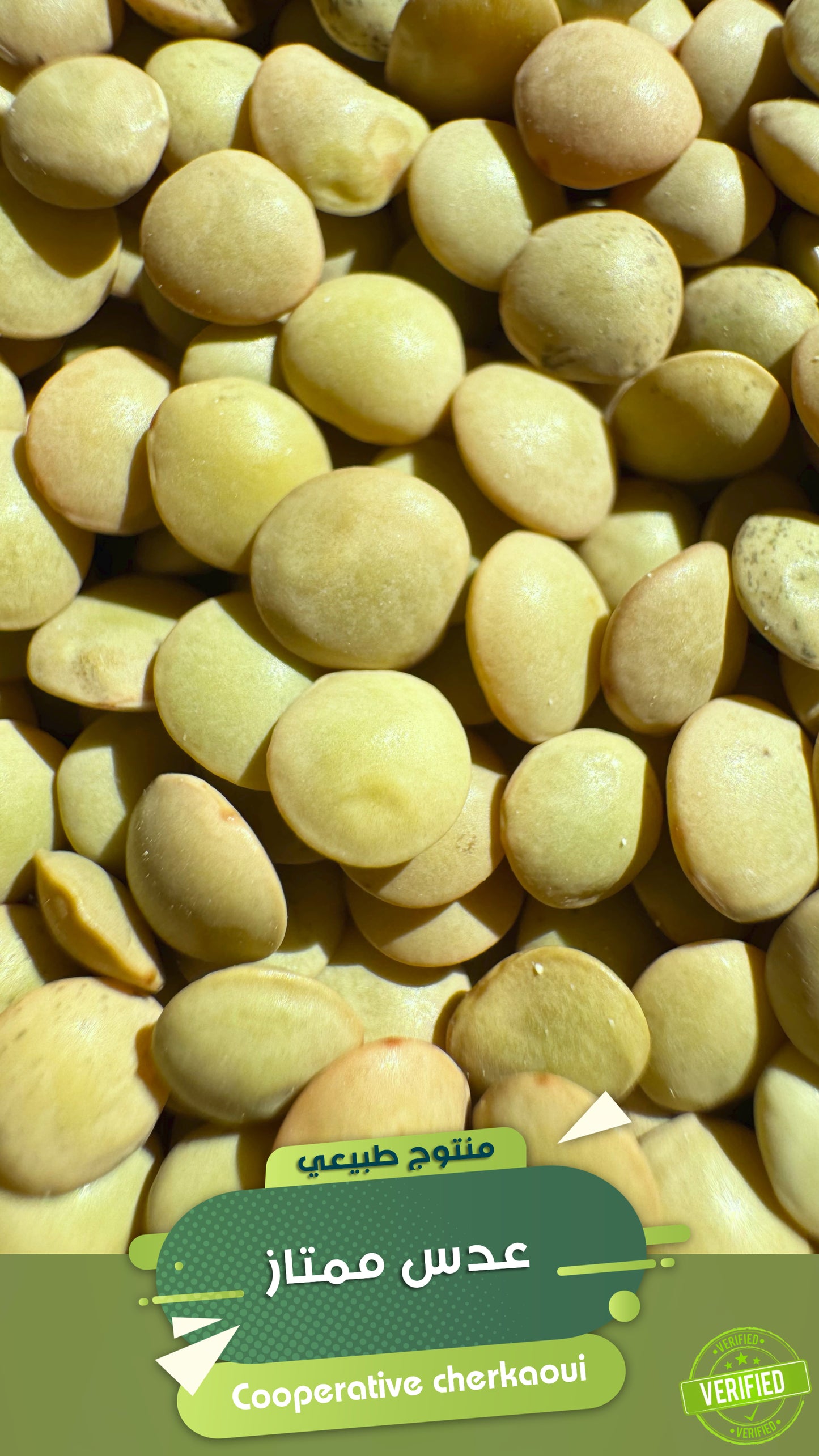 عدس ممتاز(كندا) هو نوع من العدس المستورد من كندا، ويُعرف بجودته العالية وحبّاته المتناسقة. يُستخدم كثيرًا في المطبخ المغربي و العالمي لوفرته وثمنه المناسب