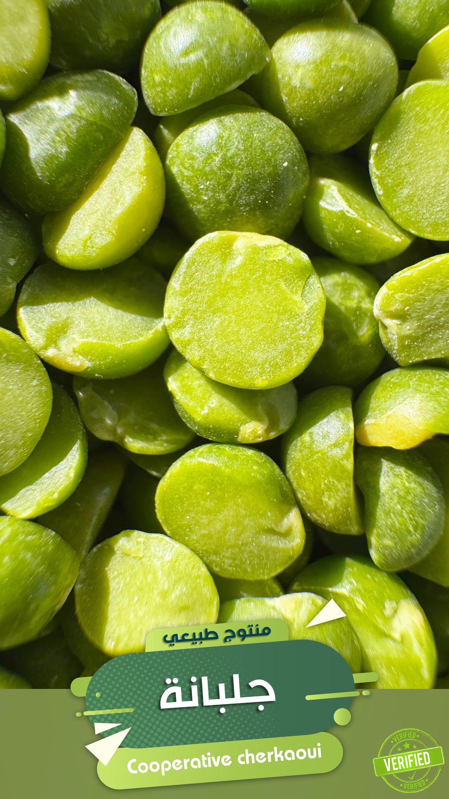 جلبانة خضراء طبيعية – طراوة الأرض في كل لقمة
استمتع بطعم الطبيعة النقي مع الجلبانة الخضراء من Cooperative Cherkaoui، جلبانة طازجة أو مجففة بعناية لتحافظ على لونها الأخضر الزاهي وقيمتها الغذائية العالية