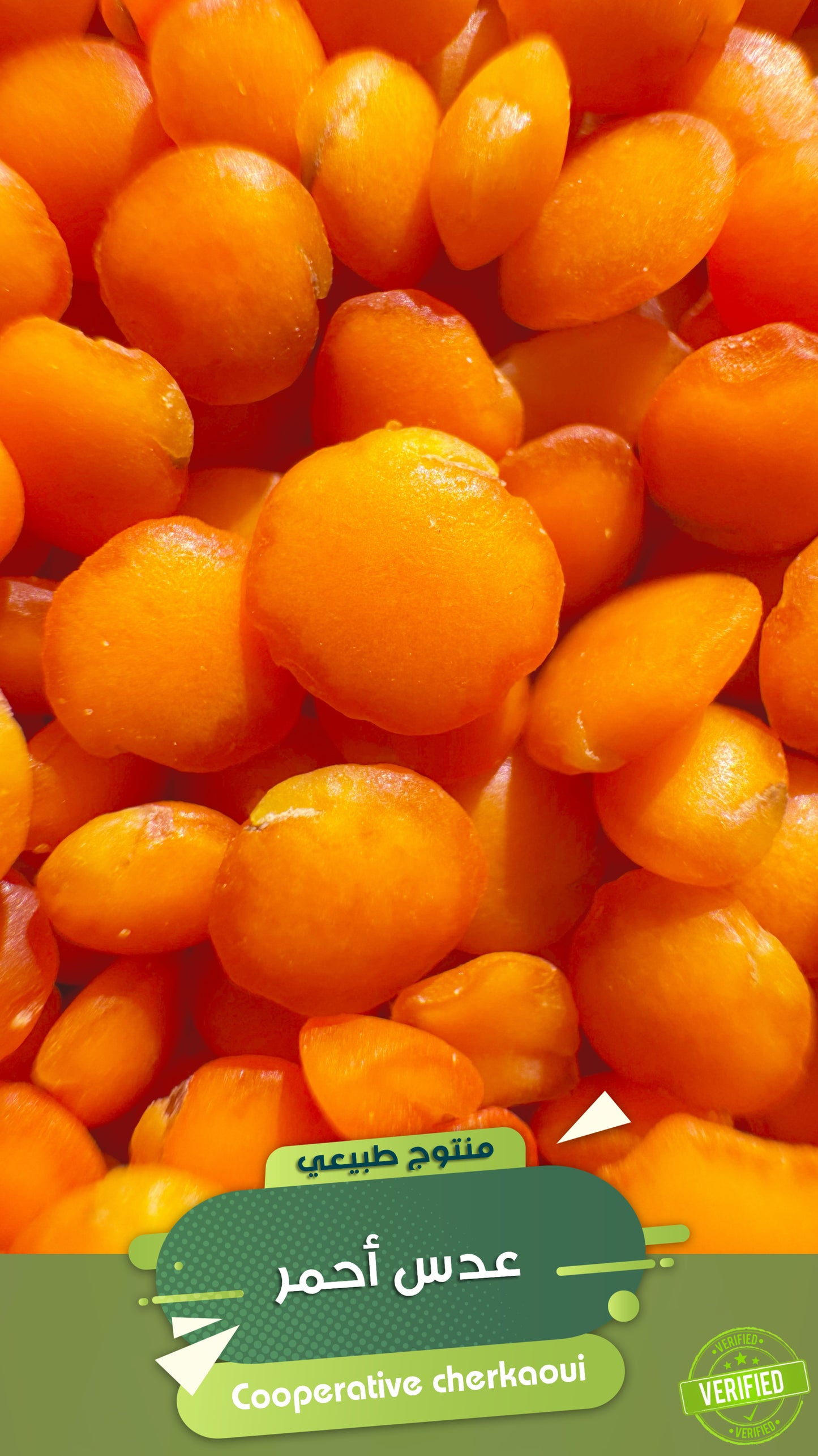 عدس أحمر مقشور – نكهة ناعمة وقيمة غذائية عالية
اجعل مطبخك أكثر صحة وسهولة مع العدس الأحمر بدون قشرة ، حبات ناعمة بلونها الدافئ ونكهتها اللطيفة، مثالية للطهي السريع والوصفات الصحية