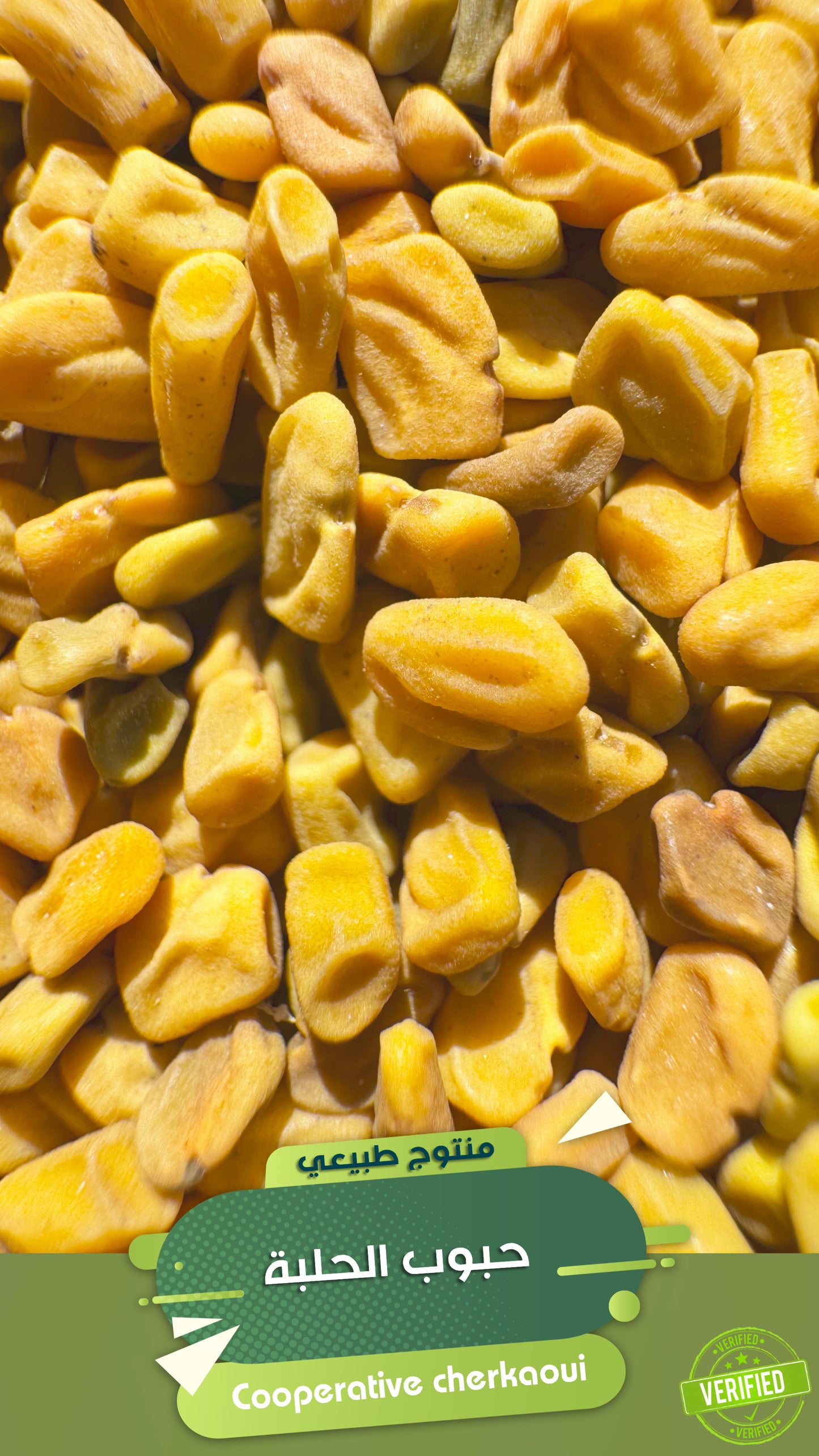 حبوب الحلبة الطبيعية – كنز من الفوائد بطعم أصيل
استمتع بفوائد الطبيعة في أنقى صورها مع حبوب الحلبة الكاملة، المختارة من أجود المحاصيل الطبيعية.
حبوب ذهبية، عطرية، غنية بالمعادن والفيتامينات، وتُستخدم منذ قرون في الطب التقليدي لتحسين الهضم، تعزيز المناعة،