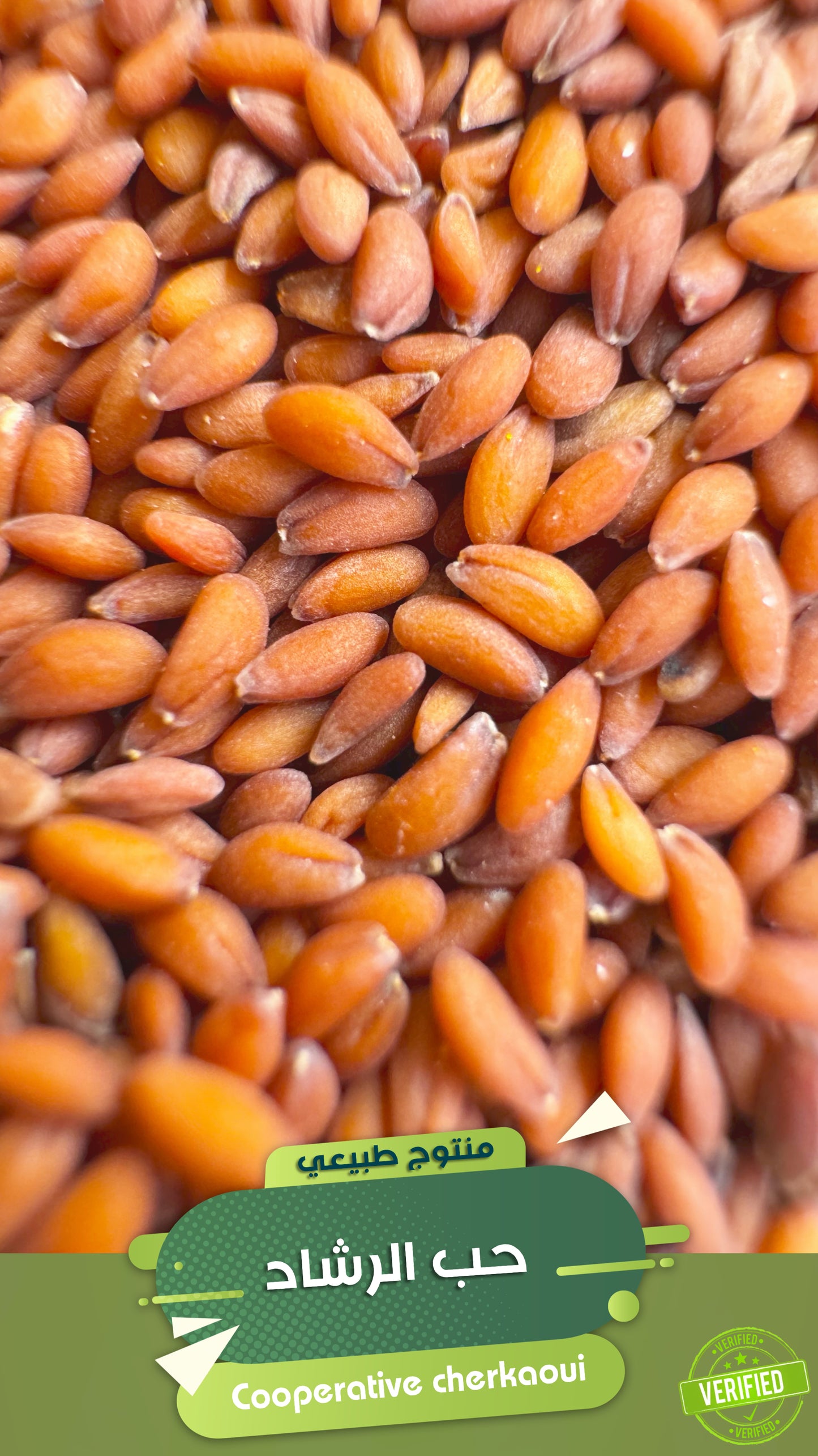 حب الرشاد – قوة الشفاء من قلب الطبيعة
استمتع بالفوائد الصحية الهائلة لحبّ الرشاد، المعروف منذ القدم في الطب النبوي والتقليدي.
حبوب صغيرة، لكنها غنية بالعناصر الغذائية، وتُستخدم لتعزيز المناعة، تقوية العظام، وتحسين الهضم