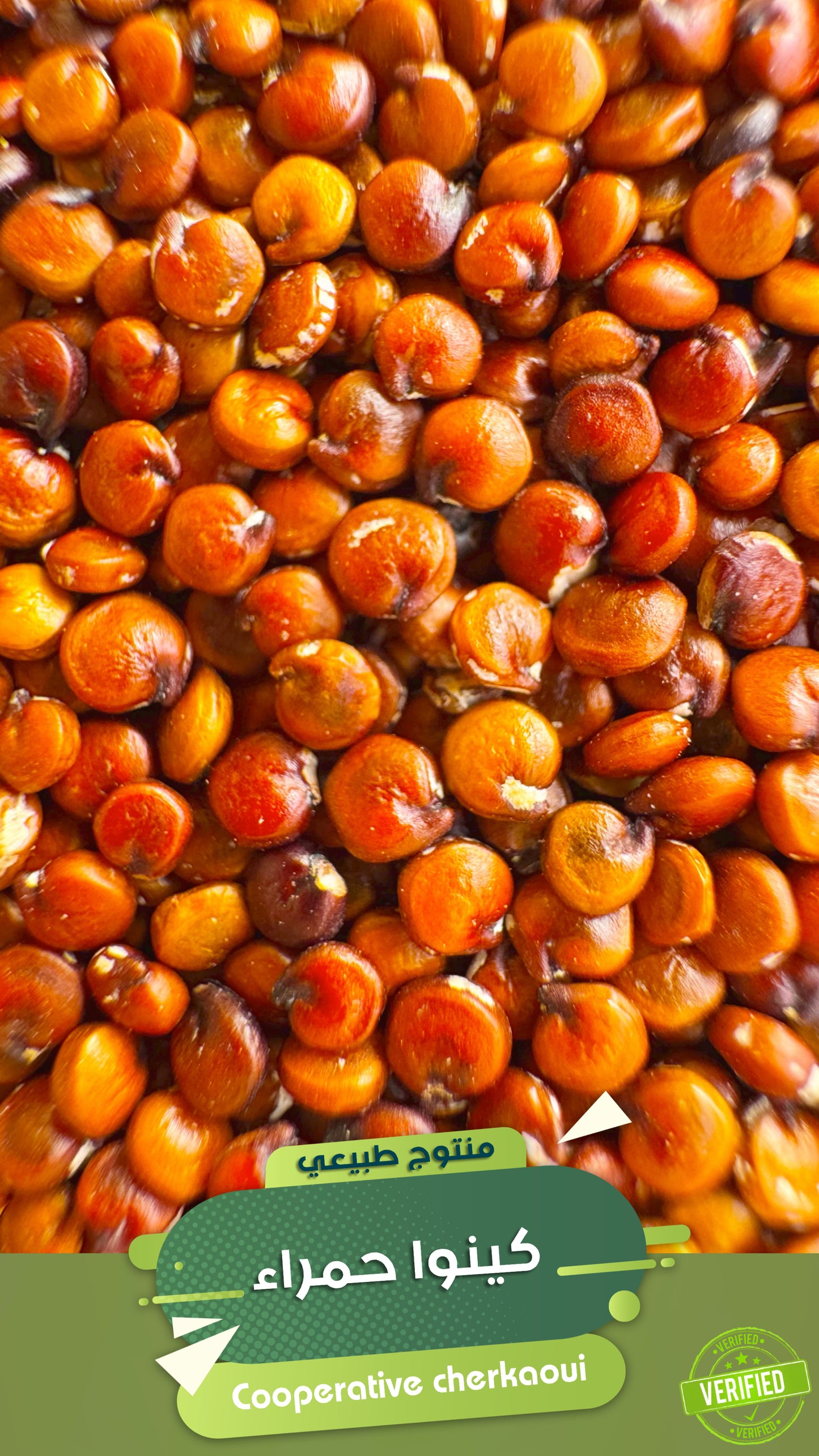 الكينوا الحمراء – البروتين الطبيعي بطابع فاخر
تميّز بتغذية متكاملة مع الكينوا الحمراء، الحبوب الخارقة الغنية بالبروتين، الألياف، والمعادن.
تُعرف الكينوا الحمراء بمذاقها الغني وقوامها المقرمش، وهي الخيار المثالي لنظام غذائي صحي ومتوازن