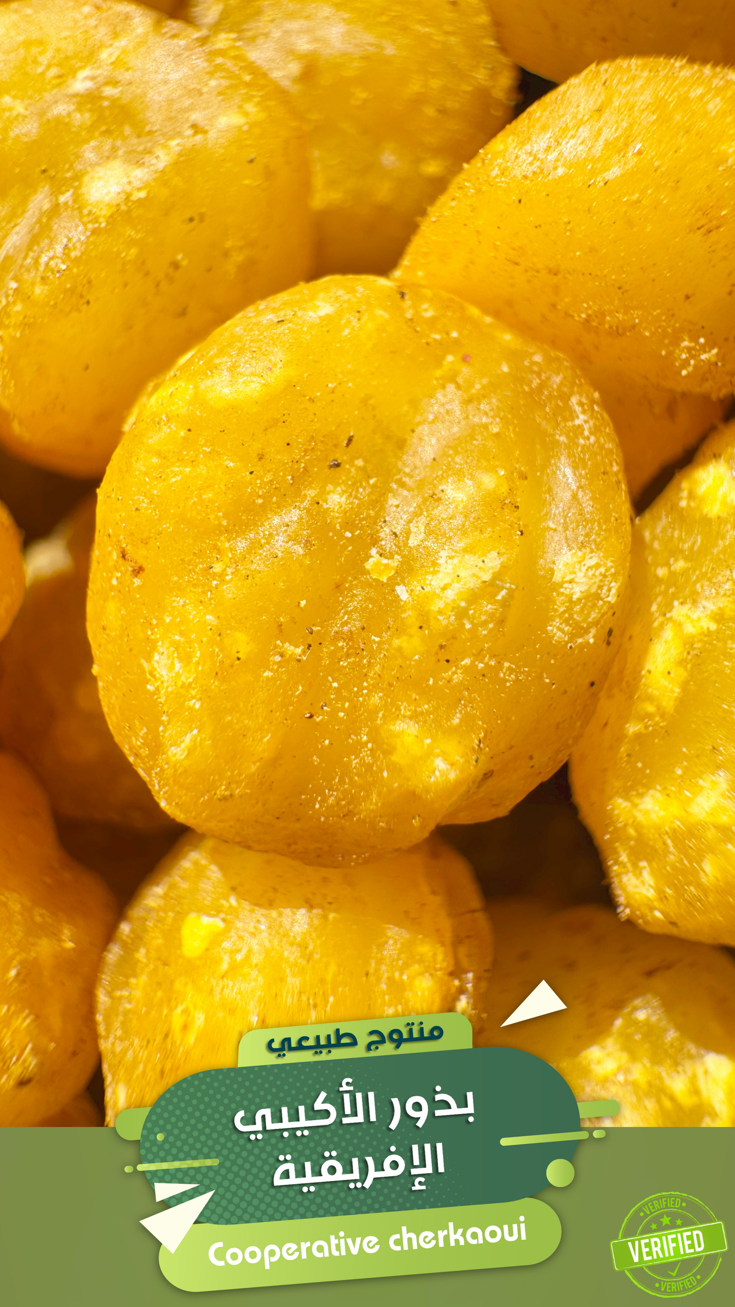 بذور الأكيبي الإفريقية وزيادة الوزن
بذور الأكيبي، المعروفة أيضًا بـ Akpi، هي بذور طبيعية تُستخرج من أشجار استوائية في غرب ووسط إفريقيا. اكتسبت شهرة كبيرة في الطب الشعبي والتجميل، خاصة لدورها المحتمل في زيادة الوزن وتحسين شكل الجسم