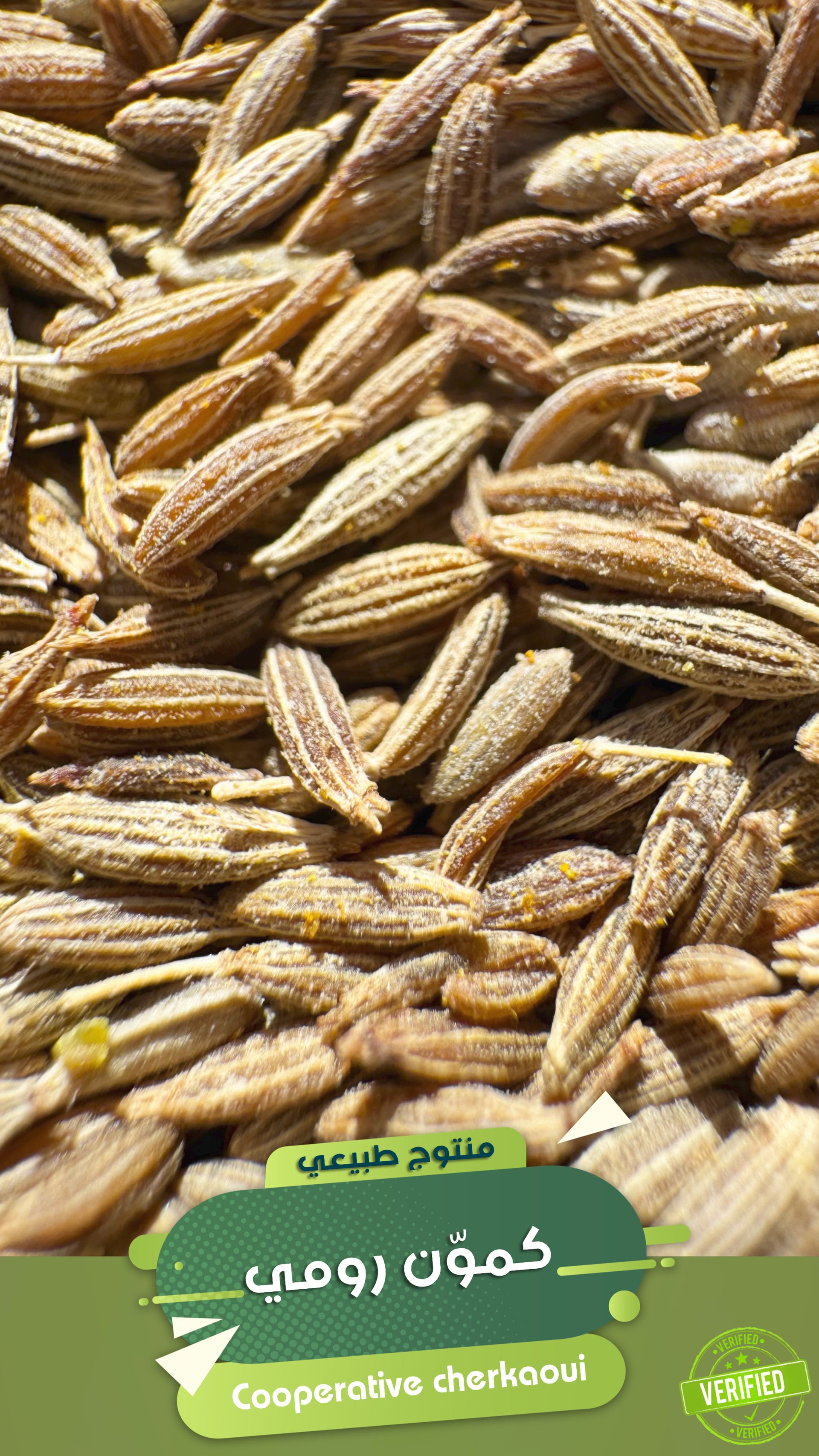 الكمون رومي الهندي هو من أكثر أنواع الكمون استخدامًا عالميًا، ويُزرع على نطاق واسع في الهند، خاصة في ولايات مثل راجستان وغوجارات. يُستخدم بكثرة في المطبخ الهندي وكذلك في الأسواق العالمية نظرًا لسعره المناسب وتوفره الكبير