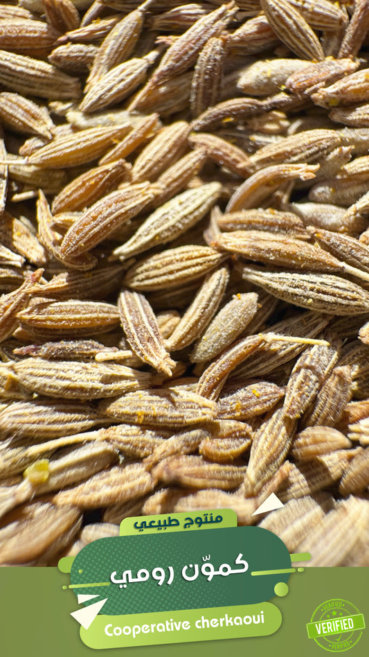 الكمون رومي الهندي هو من أكثر أنواع الكمون استخدامًا عالميًا، ويُزرع على نطاق واسع في الهند، خاصة في ولايات مثل راجستان وغوجارات. يُستخدم بكثرة في المطبخ الهندي وكذلك في الأسواق العالمية نظرًا لسعره المناسب وتوفره الكبير